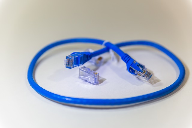 síťový kabel