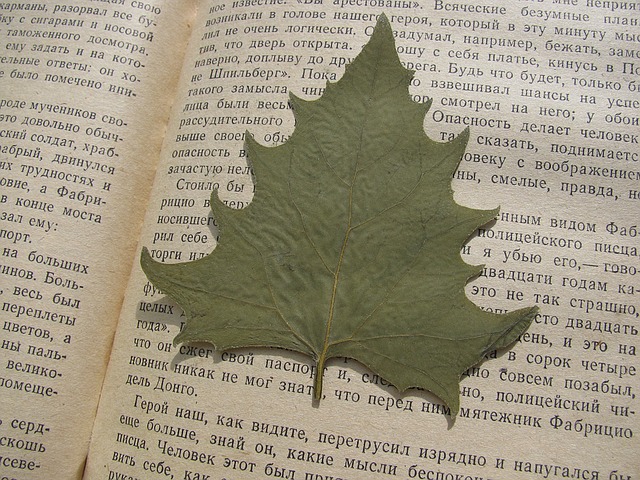 herbář